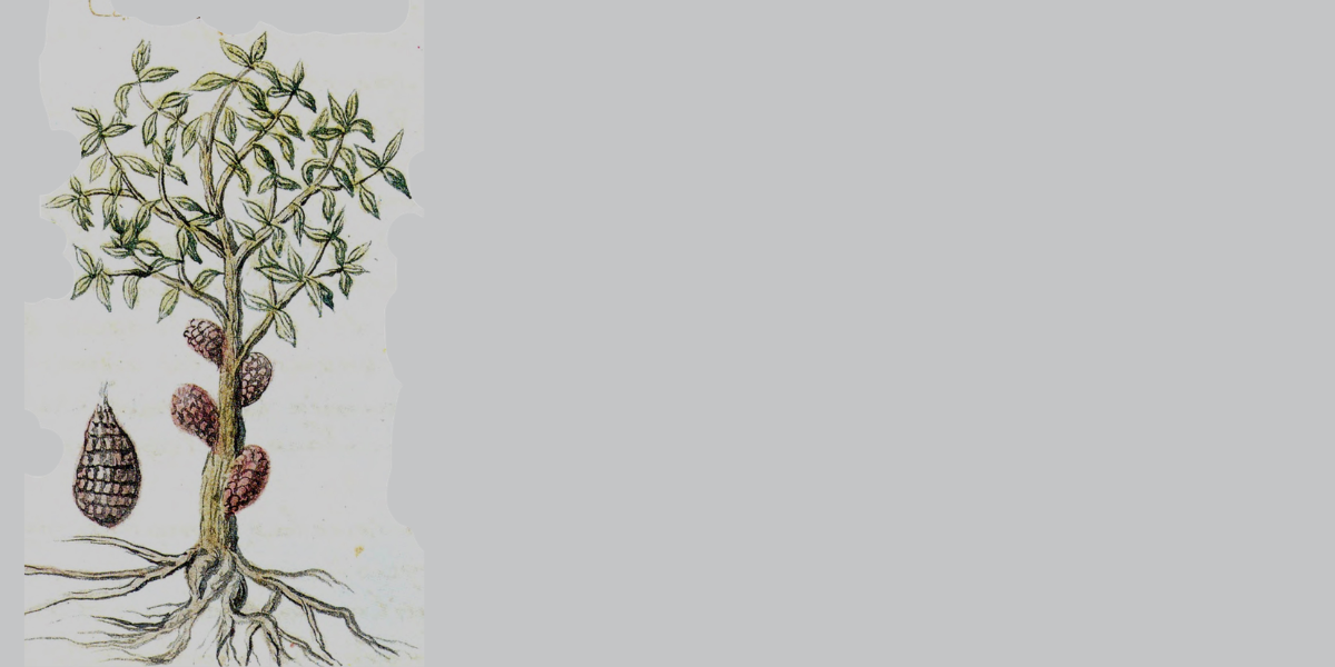 Fantástico #01: El inicio del viaje y el poder de La Hija del Fuego 🔥