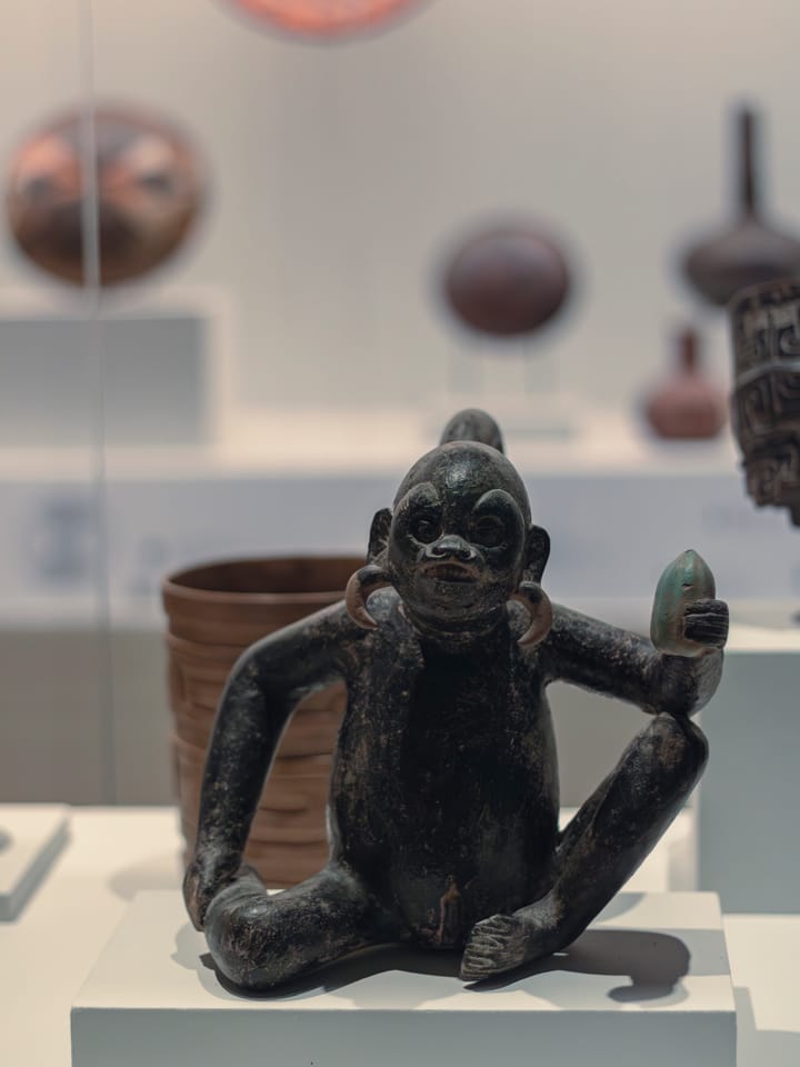 Mono con vaina de cacao